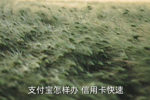  支付宝怎样办 信用卡快速