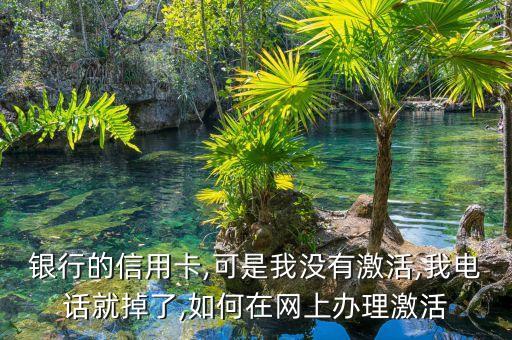 银行的信用卡,可是我没有激活,我电话就掉了,如何在网上办理激活
