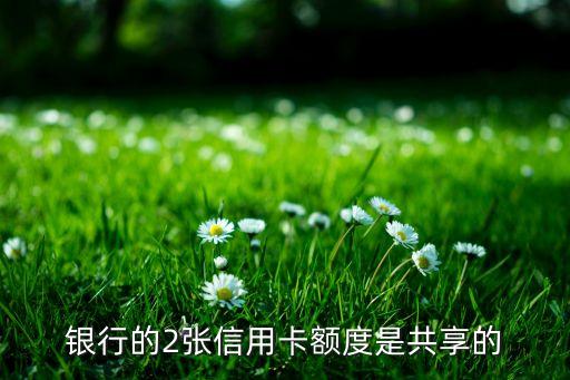 申请两张信用卡额度共享吗,两个信用卡申请是一样的吗
