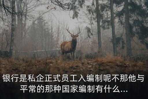 招商银行信用卡员工编制,去了招商银行信用卡部工作