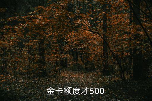 金卡额度才500
