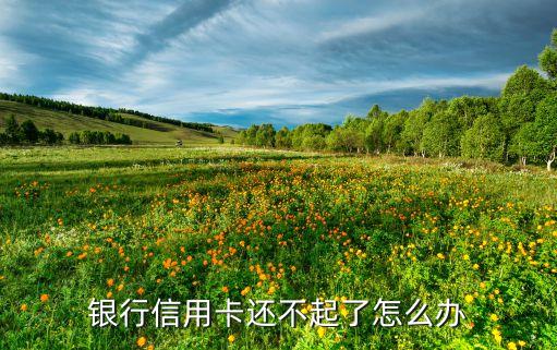 银行信用卡还不起了怎么办