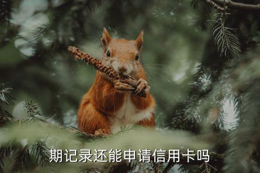 期记录还能申请信用卡吗