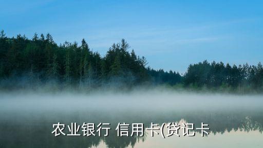 农业银行 信用卡(贷记卡