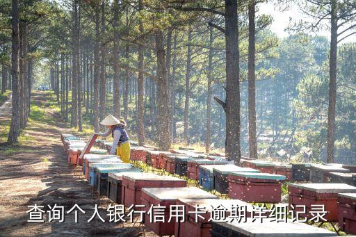 查询个人银行信用卡逾期详细记录