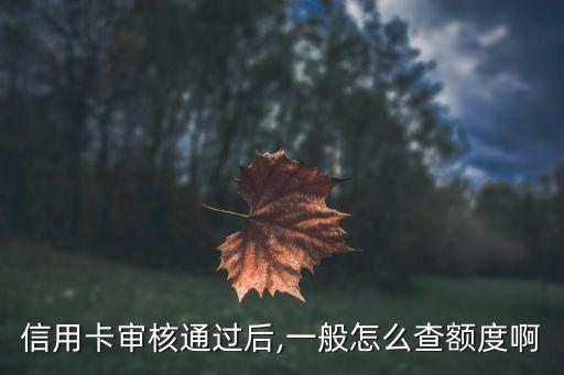 广发信用卡个人额度信息,如何查询广发信用卡的信用额度