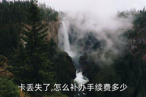 卡丢失了,怎么补办手续费多少