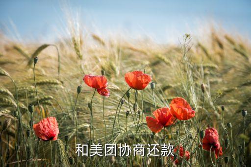 美团金融的信用卡怎么还款,如何关闭美团信用卡