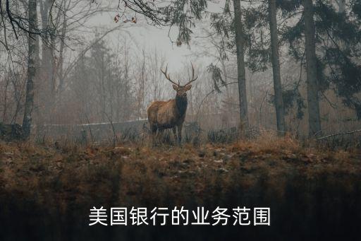美国银行的业务范围