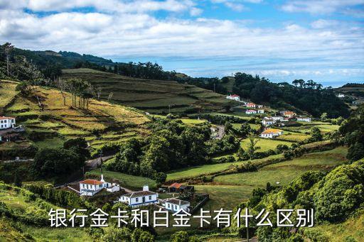银行金卡和白金卡有什么区别