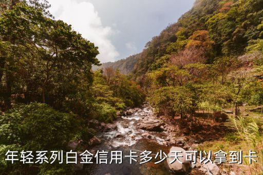 年轻系列白金信用卡多少天可以拿到卡