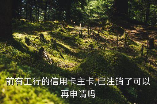 前有工行的信用卡主卡,已注销了可以再申请吗