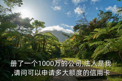册了一个1000万的公司,法人是我,请问可以申请多大额度的信用卡