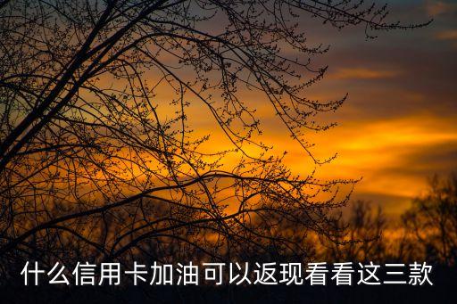 什么信用卡加油可以返现看看这三款