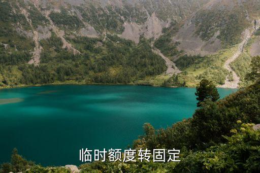 临时额度转固定