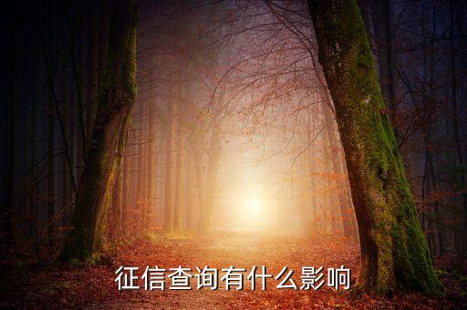 征信查询有什么影响