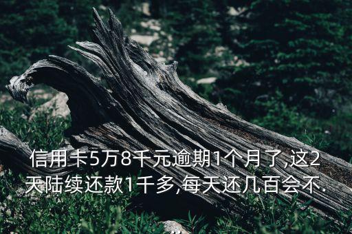 信用卡5万8千元逾期1个月了,这2天陆续还款1千多,每天还几百会不...