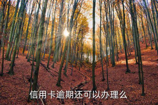 信用卡逾期还可以办理么
