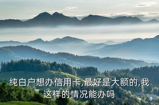 纯白户想办信用卡,最好是大额的,我这样的情况能办吗
