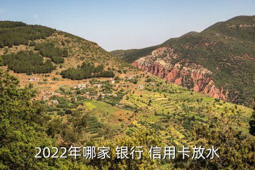 2022年哪家 银行 信用卡放水