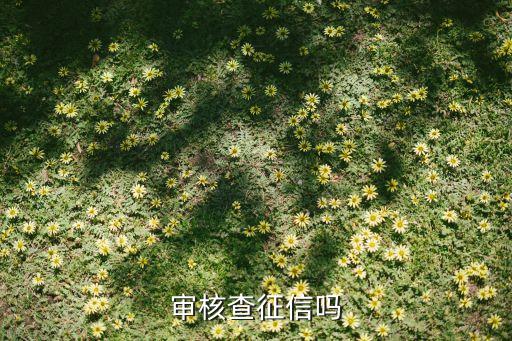 审核查征信吗
