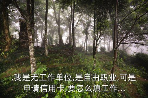 ,我是无工作单位,是自由职业,可是申请信用卡,要怎么填工作...