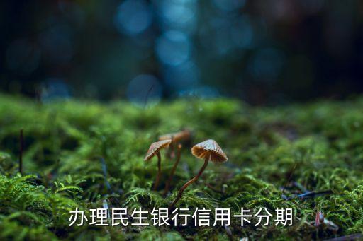 办理民生银行信用卡分期