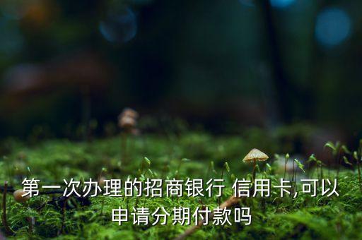 第一次办理的招商银行 信用卡,可以申请分期付款吗