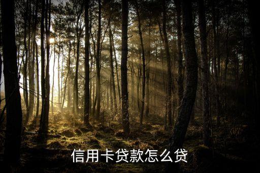 信用卡贷款怎么贷