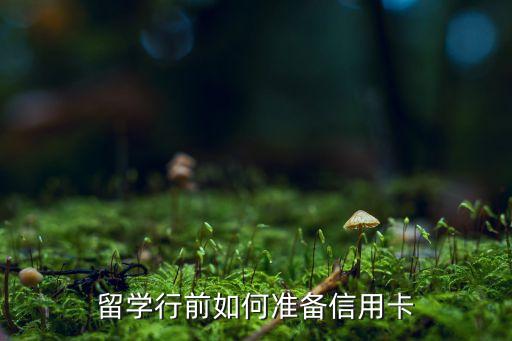 留学行前如何准备信用卡