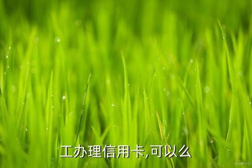 工办理信用卡,可以么