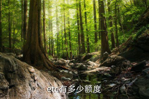 etc有多少额度