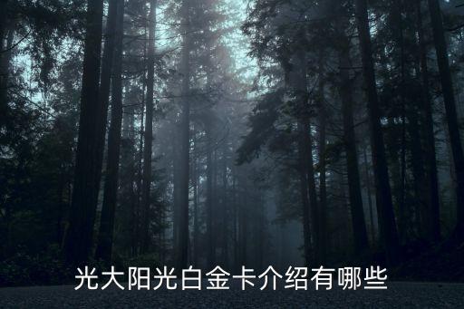 银联光大银行信用卡金卡,中国光大银行银联阳光信用卡金卡