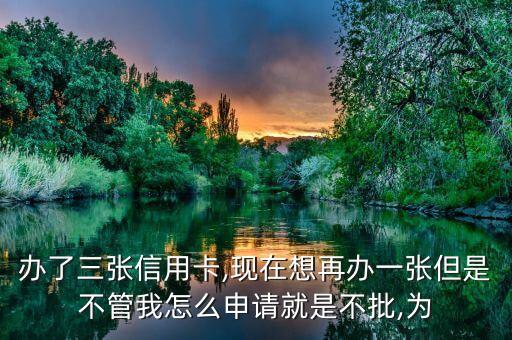 办了三张信用卡,现在想再办一张但是不管我怎么申请就是不批,为