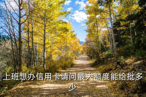 上班想办信用卡请问最大额度能给批多少