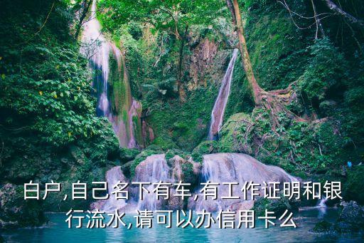 白户,自己名下有车,有工作证明和银行流水,请可以办信用卡么