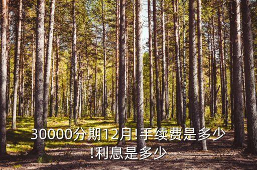 30000分期12月!手续费是多少!利息是多少