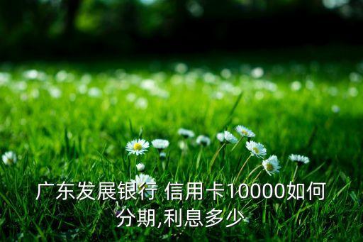 广东发展银行 信用卡10000如何分期,利息多少