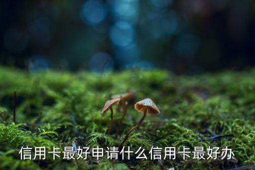 信用卡最好申请什么信用卡最好办
