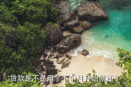 贷款是不是用了下个月开始就还了
