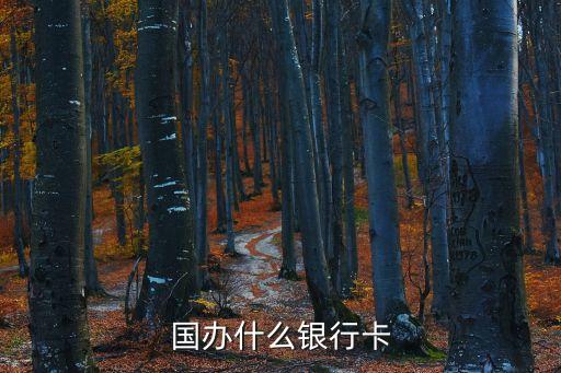 国办什么银行卡