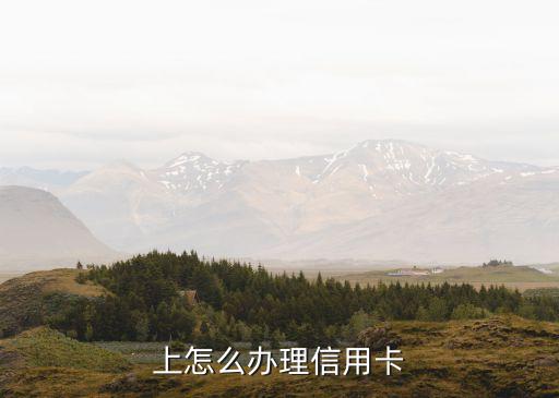 上怎么办理信用卡