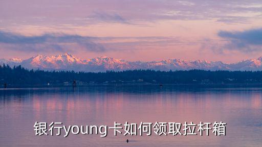 银行young卡如何领取拉杆箱