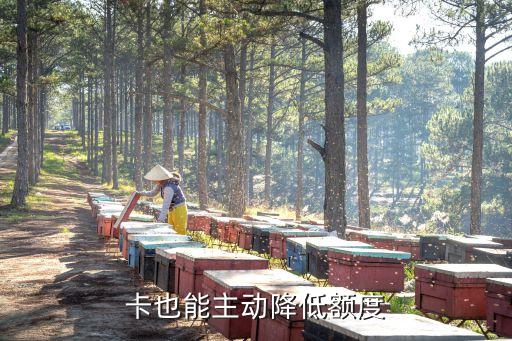 信用卡额度怎么样降低,如何降低信用卡额度