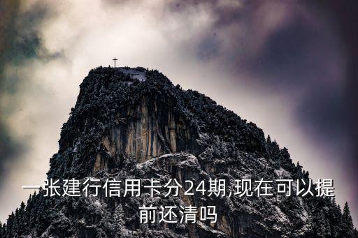 一张建行信用卡分24期,现在可以提前还清吗