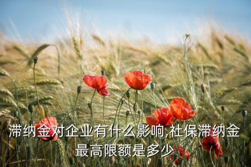 滞纳金对企业有什么影响,社保滞纳金最高限额是多少