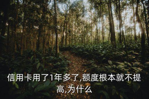 建行的信用卡额度升得慢,银行卡建设的信用卡额度