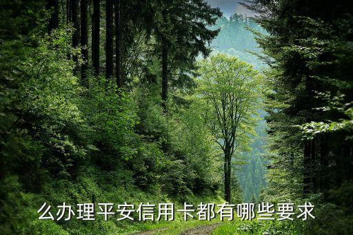 么办理平安信用卡都有哪些要求