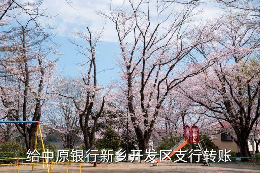 给中原银行新乡开发区支行转账