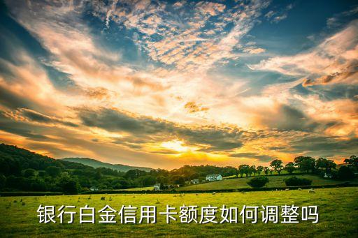 银行白金信用卡额度如何调整吗